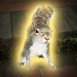 Coin image for EvhhojTtd4bvqyc1dkJmXwKdHeBqkHHuF86n1SnZpump