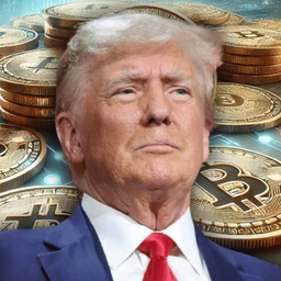 Coin image for ExQN2PxBmACazF6bLJyqEPwLSAL8rfz6ojywBCN3pump