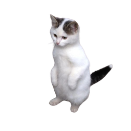 Coin image for ExpVGx5XjAGkKG9fWn3n7KvntPbjpLdrc7DruPR3PRuB