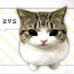Coin image for EyZHPD6raFgRu7NuxpXcUp5K3fC3feWVDUGutgkNpump