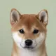 Coin image for EzaZEtUGkPkkpmpWa5YBzfqVEDpzcPiAhBbVVpRJpump