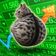 Coin image for F1NGJ7pAkpqM5RrB2tpSRyLfDVRXCFsdLus5PXCJpump
