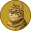Coin image for F1TgoHkMJgBYwJLkNP2knGLFhv1srvWUzE84SvKfpump