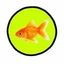 Coin image for F1mkX6P5dzMfcyGgJJXNTZTvzWvzGUxoj3364eUYpump