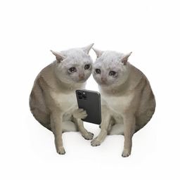 Coin image for F36G2G3rNdEmXe1L2mafmfwxaXJL9iJVtZo7ajdhpump
