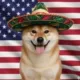 Coin image for F5KvEab7k9ftcX2jLBjxCapsNN2nmXmydt7rF2rdpump