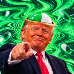Coin image for F5WZrGTtUAZjxC3xcVrsvqLTqmY99AhYfhBGQVDpump