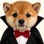 Coin image for F5ZpK4LsNMxkyfwbFvreXZw1NQ35jbug2XuHohDGbD23