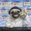 Coin image for F68eYCo1n3VqsruZPSjHtXFeoiCS4MeBXfdZ13Zmpump