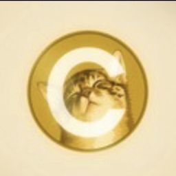 Coin image for F6feLPcuoGaX6ccknSFeSi9bVT2tuhRkPqZGs66dpump
