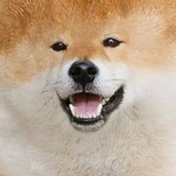 Coin image for FAneQ69HHDQQnnBP5cSMYWGWtwjFNXx7d3mvkgcppump