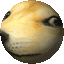Coin image for FBNT5HEXq2RHK9bUyMYTQvgSVN9cEaNaT5nid6Zypump