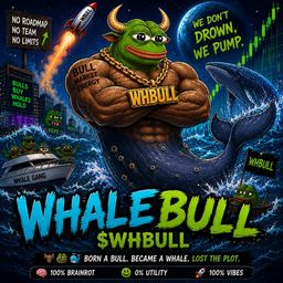 Coin image for FBmAjVZ9ExgCjzfPBLaPBby8kMh5RBvumaYnsLH8pump