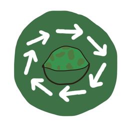 Coin image for FBmHyjidNFJRoU7uWZyncdsAN5R3ergbSHUMa4j2pump