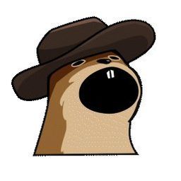 Coin image for FC74DKXQrEH93cXGwEQ6XctduxeamBQ9QoKSDNe4pump