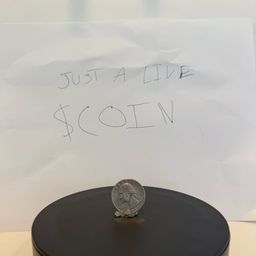 Coin image for FCPSYUGoxvRTGeaCD3usuj1RUoiTGvRjEDU6ZDGZpump