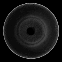 Coin image for FCrEx7cS3LrRPqa7CTi2m6qgbPy3TzRvb8BwzHippump