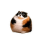 Coin image for FDDKx1LyFqBrUpcVvL4kkDHgC7hqueYYfxcWA6dPpump