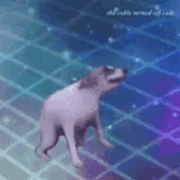 Coin image for FDJcvRrXmo1Bd2GAg3Ja7bi1RVy1GoMwwjvpRMy2AoAR