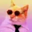 Coin image for FEGcqPYJLvoDCRgTCPYn8M1RZ4MTWRracaPMTMayuxfh