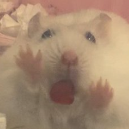 Coin image for FEvEssYreTbaBH9rdaHYyQbghMkhKiqkA5fqZNtrpump