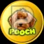 Coin image for FGHdTqvT1a9FDxBReHmXYePqXhSm68Uy5d8qAzfgpump