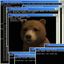 Coin image for FHeGeD2w2WSmRPasUMjfoFcv1eaYTL5ENzsTmqtGpump