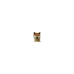 Coin image for FHpUm3se9b8hZe2k9EXEcWJBpeu8pEqAKd2PJDdKpump