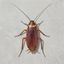 Coin image for FJpkDqCf31QPRMGc8HNPaBXUqXHDmZuVMyDnmjNy3ffD