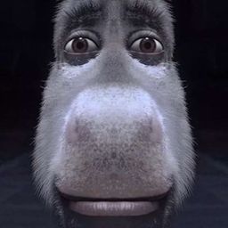 Coin image for FJuM4aA4TMaFAjNqmzUfLuFsrpW7ShGATPjHSf17Kcuc