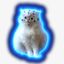 Coin image for FK9mAKdiEb3QHMWodYCyBmMnxag3ocoi9DobqhVgtEBE