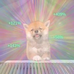Coin image for FKCkY1KdzmwB73hTHUr2VqXvhtxitE1KeSpftVERpump