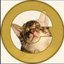 Coin image for FLRKP1YoZMMY6AfKMMZcm7WzUYtvmq9134rgbjZ9pump