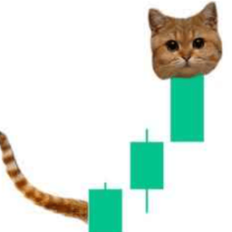 Coin image for FLpnKJeDefxwS9EtnCgUMZumWTvVA3ysuxWhtMsXpump