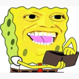 Coin image for FLqTDXZo1dpegNjsQuxZbvRtybvWKty9csTKHjfqpump