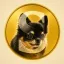 Coin image for FM6GwDewTyoY6aR9AZbVo8VkiJcvVEQxggkSjuyLDpxy