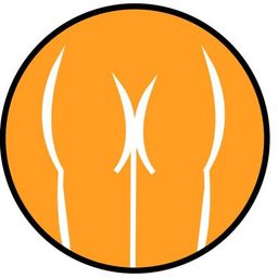 Coin image for FMRr5dHAYG8j5GMpXGzdNgTmypm9GyajrgwMHcRCpump