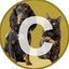 Coin image for FMvKnMdk29BfSVXpszE53T3T1khwAKhiKPwN52FHpump