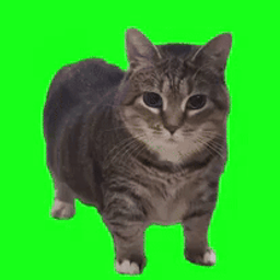 Coin image for FNMcPsEw1UeSbphs2SKWgPoXAzYj2AGLc4dHW6ygpump