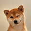 Coin image for FPCsmpwouXbLEDcXpBgHMfXZbuqoVEMJPYPvwwvzpump