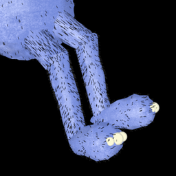Coin image for FPSDFMyhgsXWzs6vbQ5WLyeMRaDy3pFyLniQuarApump