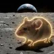 Coin image for FRGArz6EvTi3cBNTEgqXpUUvUNf91T8z8TzuAhXQpump