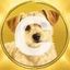 Coin image for FS2pdgynPFMDPcYsK8RgWfTFsgZNna7Syij8sxo9BQUS