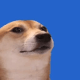 Coin image for FSGzgHgTKYY1DdhTybQJE2w1AF38PFuNHGQoQAm5wMcF