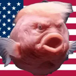 Coin image for FSWCC3YB9uwUJjDTjKawUyRY7Tvo5jKdwjdinvJb4V5i