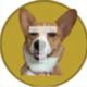 Coin image for FSYzCK7U1sU8Jcpp88NA1iAxiWSiPMdTsTfBqqQzpump