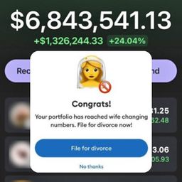 Coin image for FSebXdw31cZuMbtLRmibvsCbMSzDdqvifyEHVraupump