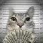 Coin image for FSmi9uqZz3CmP9xtZr33y6xw3iGxxkCQfmqe8va8nNYy