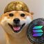 Coin image for FSoG5sgWxDCHZxdeFm4Yu4uEY5SS2J4m77Jp9sKDpump