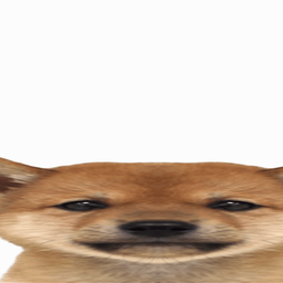 Coin image for FTETpCyf5u4ahSTbRU1sJWGuJ3BiFENTEbvag1g3pump